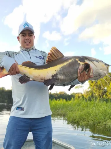 resultados_pesca_pouso_do_pescador_rio_guapore3
